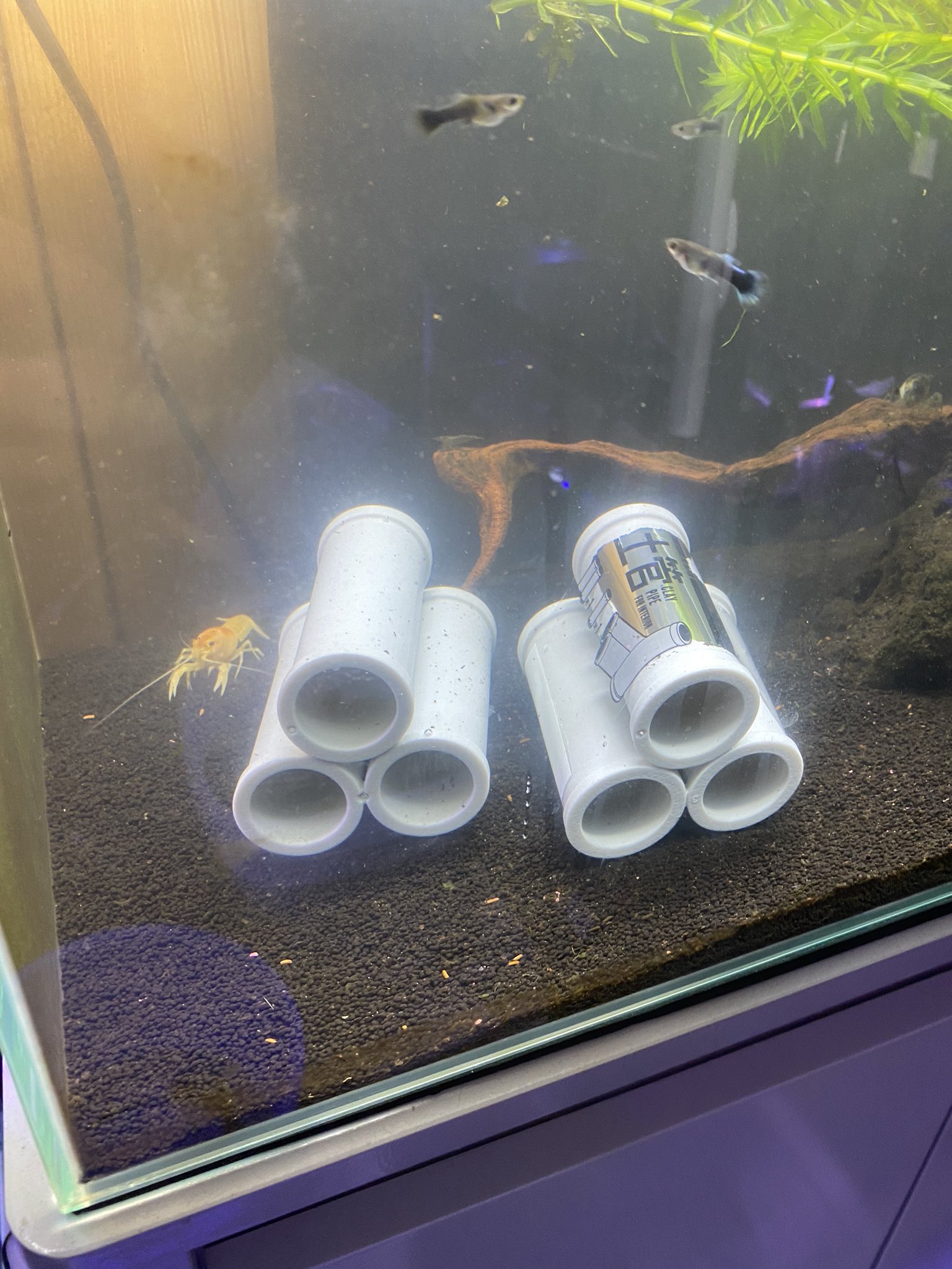 ミーアキャットひなた セリアがザリガニグッズ売り場だと言うのは本当だった Vpがスポっと 大きさもちょうどいい 二個はくっついてるし 逆にザリガニ水槽以外でどこでこれ使うの T Co Fsmmldxmlm Twitter