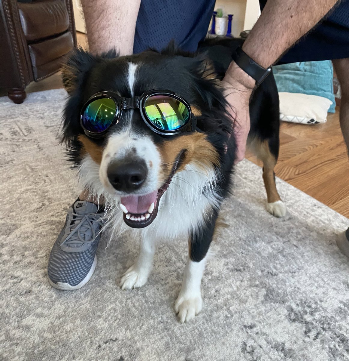 SydRick97's tweet photo. @BennyWillard i feel like Chauncey and Chance need to be best friends https://t.co/jPBmbmlH7T