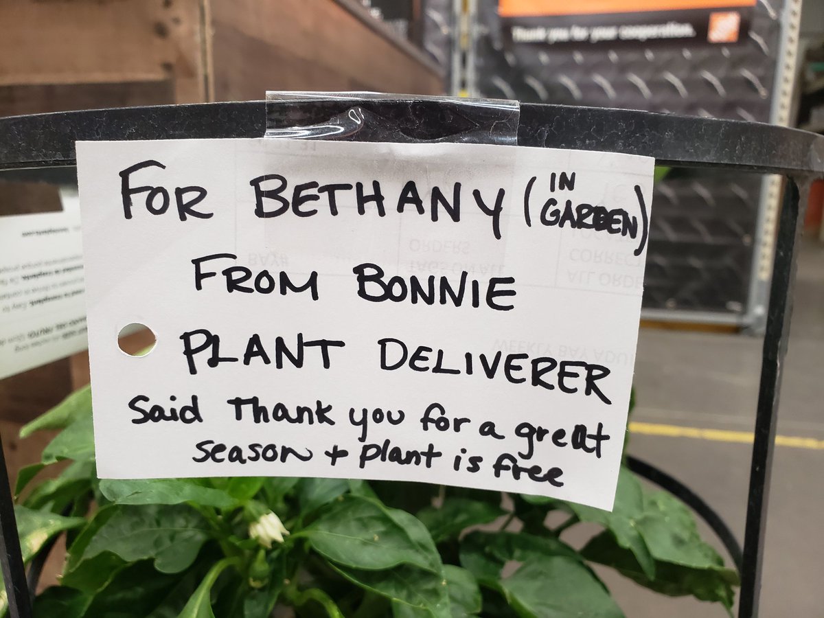 wtigers83's tweet image. Great Job Bethany!! Thank You Bonnie!!