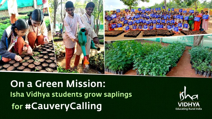 rallyforrivers's tweet photo. The 15801 saplings grown at the campus nurseries by the students, teachers, and staff of #IshaVidhya will soon be handed over to the #CauveryCalling team. Every single one of the #IshaVidhya schools aims to grow 20000 saplings, this year, for the #CauveryCalling project. https://t.co/ezF4d4QwCR