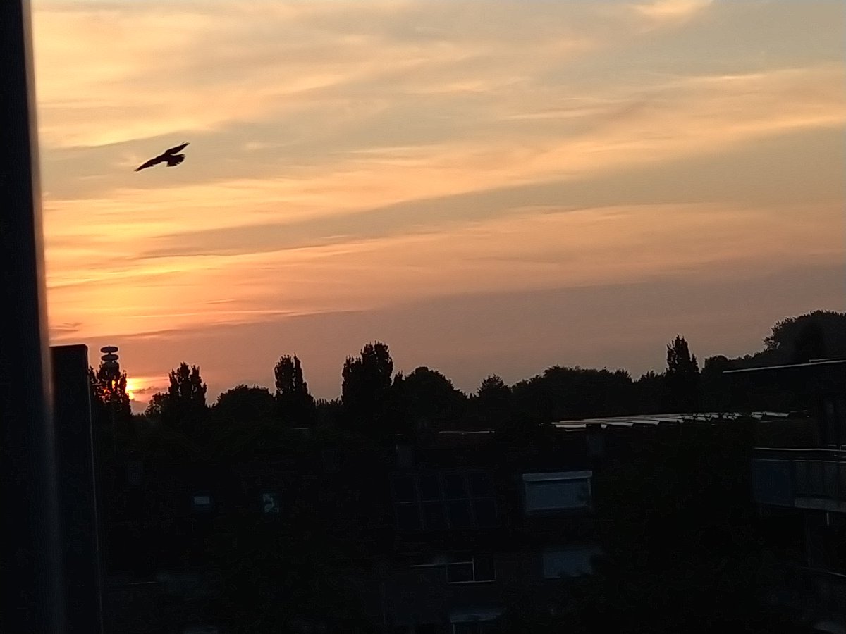 Zondagochtend, mooi begin van de dag!