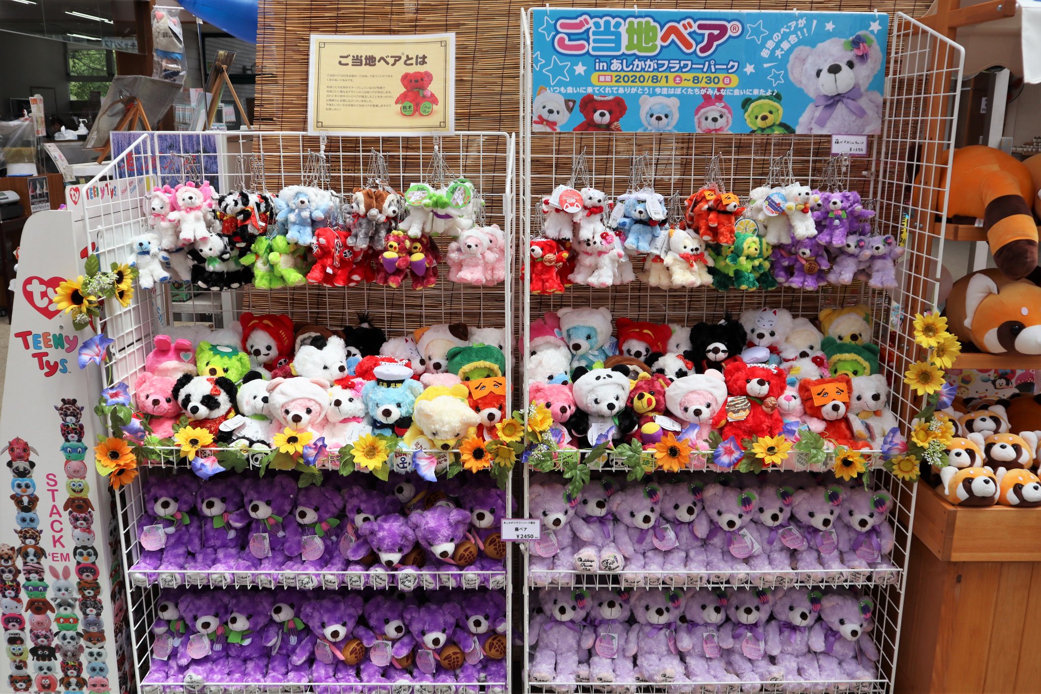 ‼️限定品‼️ あしかがフラワーパーク　イルミネーション　ご当地ベア ✨NEW✨ 新しいご当地コラボベアが登場したよ🧸 ＼ あしかが
