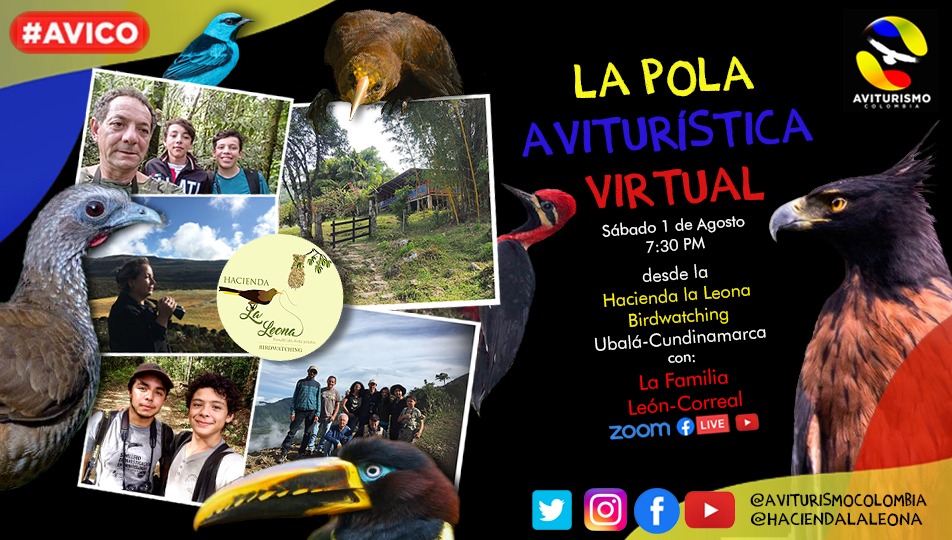 La Pola Aviturística - Hacienda la Leona (Piedemonte Llanero Cundinamarquez) youtu.be/fDS47k5OnH4