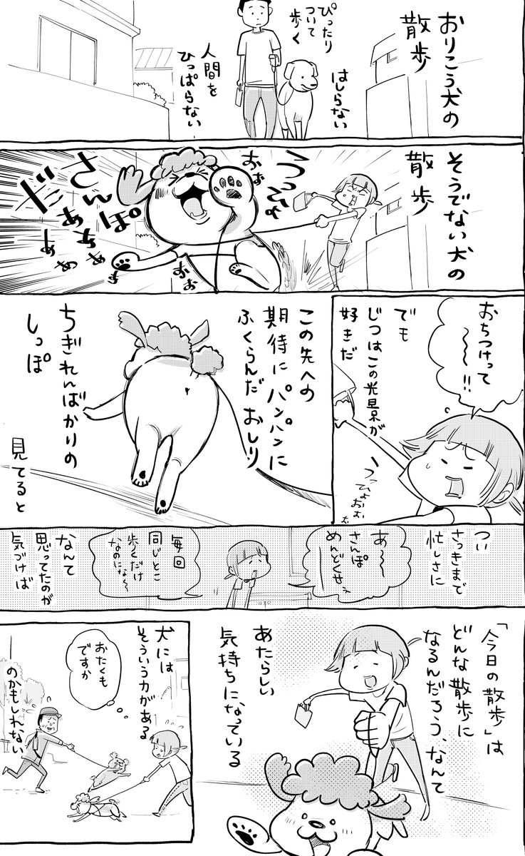 犬と猫どっちも飼ってると、ふと立ちどまる時間があったりして毎日たのしい 