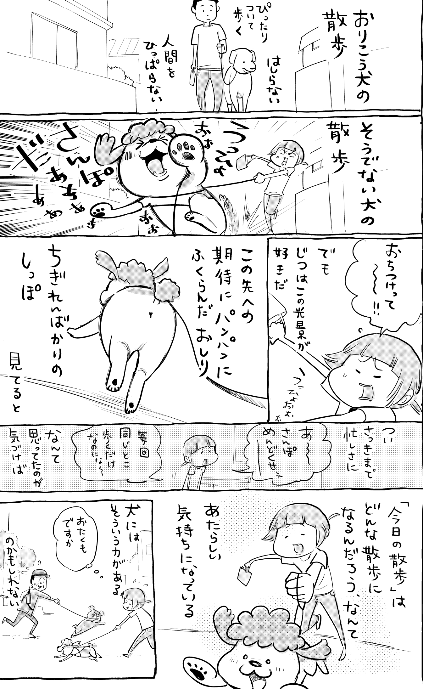 犬と猫の両方を飼っていると散歩や遊び方の全力度に違いがあって最高だった Cupeポスト