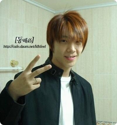 young donghae: a thread