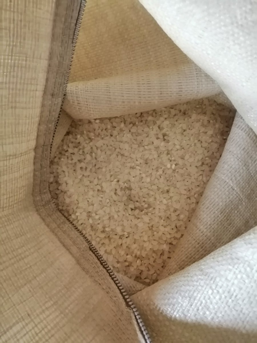 精米してきた。籾をもらってたと思ってたけど、コイン精米機のところについて、袋開けたら玄米だった。