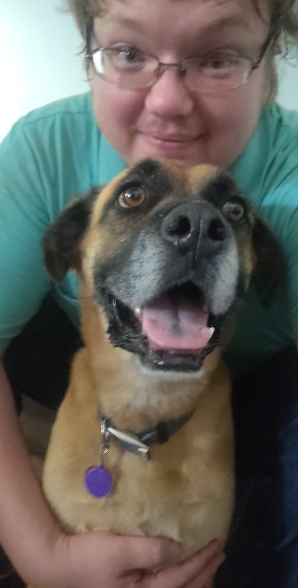 ahhhuey's tweet photo. This is Brody. He's dumb as a post but I wouldn't trade him for anything. #bestfriendalert https://t.co/9wWrOJbTnA