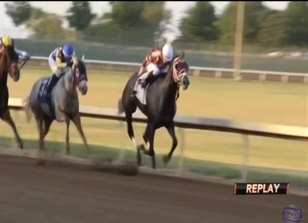 rebelsart's tweet photo. A winner for Sophie Doyle @sophiedoyle77 as Adari (#Graydar) takes them all the way in race 5 at Prairie Meadows @prmracing for trainer Lynn Chleborad! Congrats Sophie! ๐๐ฅ๐ช
#bellajockey #winner #HorseRacing #PrairieMeadows https://t.co/OvA8Ovuafh