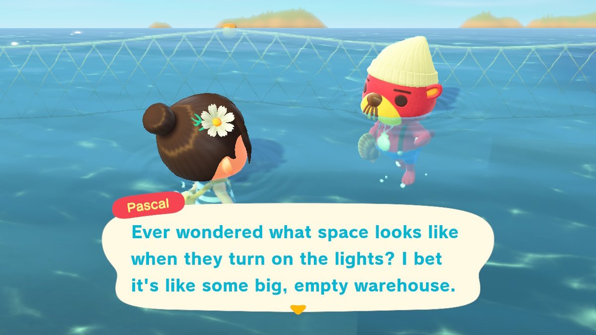 beachcitie's tweet photo. #AnimalCrossing #ACNH #NintendoSwitch https://t.co/xuIiK6XuPX
