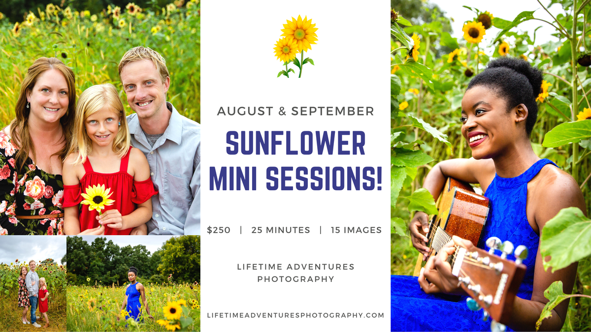 Lifetime Adventures Photography tweet media