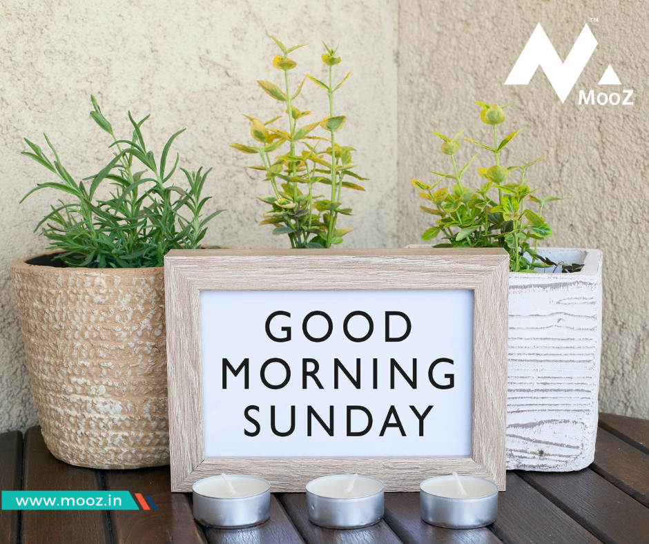MoozOffices's tweet photo. Happy Sunday!

The birds are chirping, the sun is shining, today is going to be a beautiful day. Enjoy!
https://t.co/Mnf7zqfVKn

#moozoffices #privateoffices #premiumoffice #businessaddress #businesscenter #coworking #coworkingspace #sharedcommunity #executiveoffice #happysunday https://t.co/cZFH0WYAlx