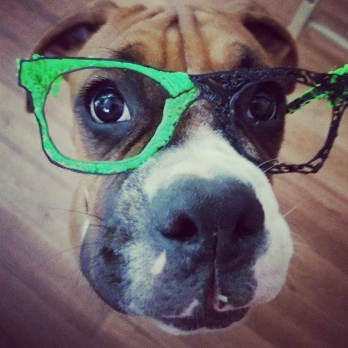 CradockKelly's tweet photo. #Boxers #readingcommunity https://t.co/69JBXqjlNO