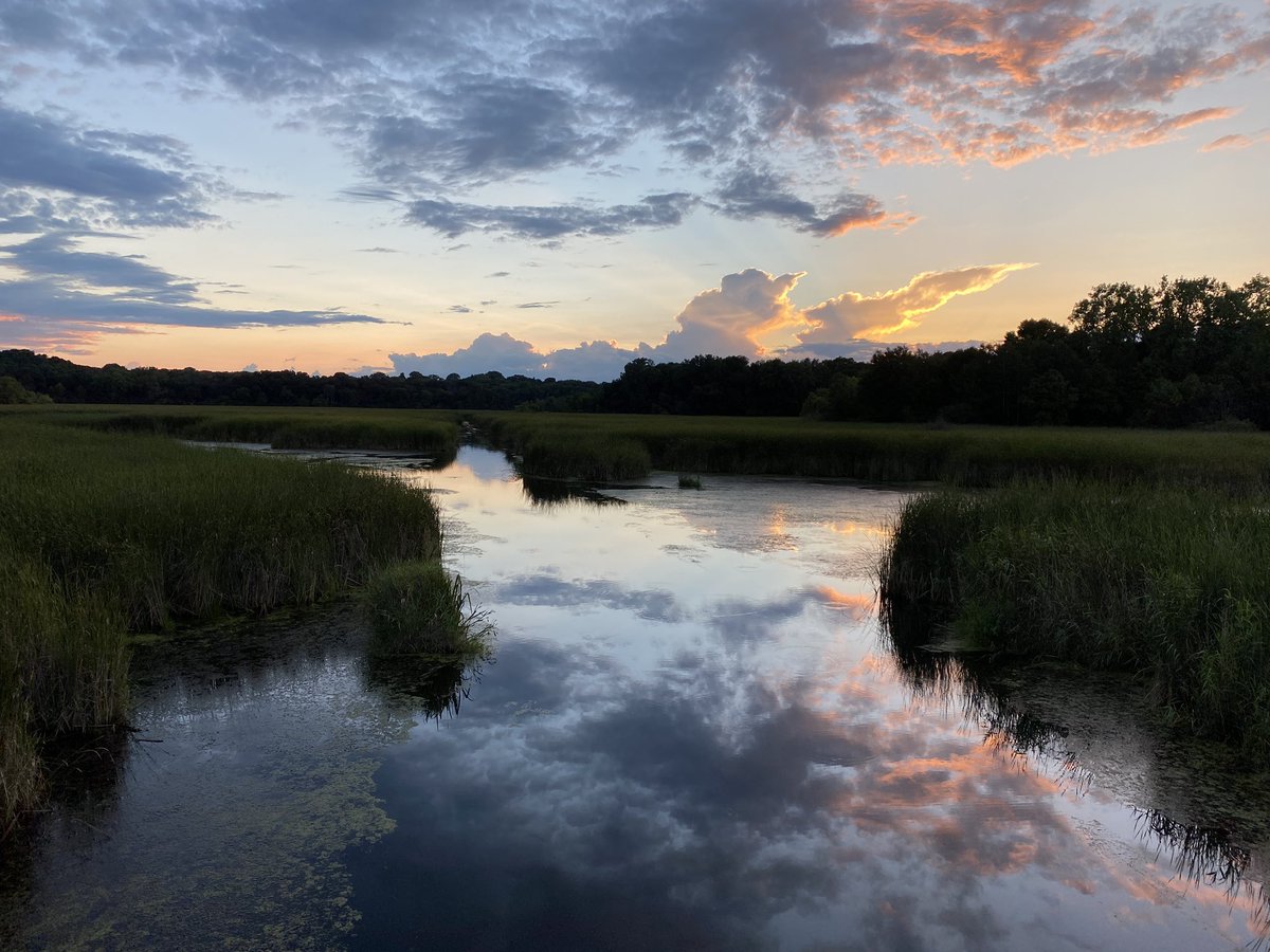We only get so many nice days in MN. Had to get out and enjoy it.
