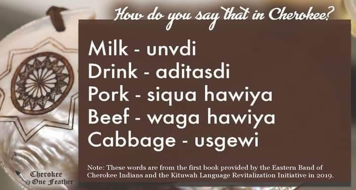 SoulfulStuff1's tweet image. #cherokeelanguage #speakCherokee #endangeredlanguage