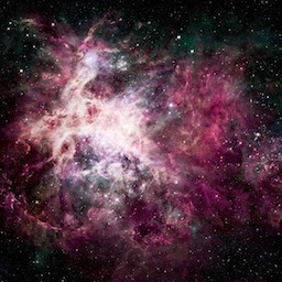 第8のtwitterイラスト検索結果