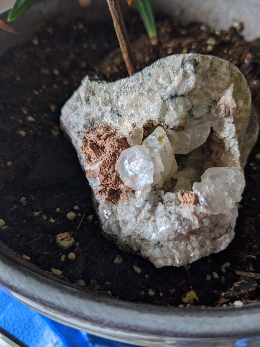 KaylaKnits's tweet photo. Lake Superior geode, found in my birthday last week https://t.co/YSgbYjj4DT