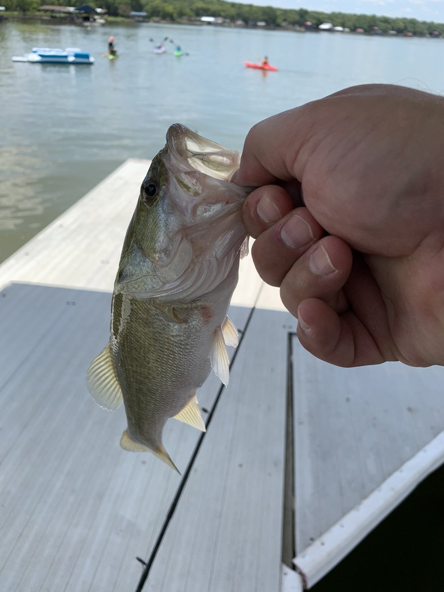 MonteSparkman's tweet photo. Rippin lips #throwemback. These bass need the #freakfactory https://t.co/H7ozZFs58t