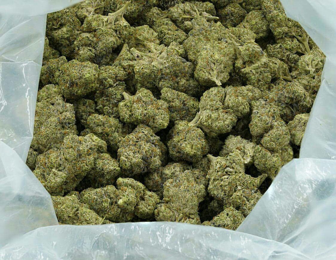 plugstoner420's tweet photo. Contact sur :
Snapchat: kushstore20
Wickr me: kushstore20
#weedbordeaux #weedbordeau #cannabisbordeaux #weedlimoges #weedpoitiers #weedpau #weedlarochelle #weedmerignac #weedpessac #weedniort #bordeaux #bordeauxmaville #limoges https://t.co/Avi4wiRwgW