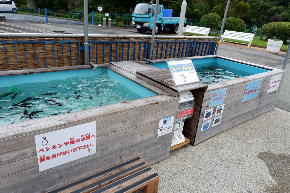 イシダイ Twitter Search