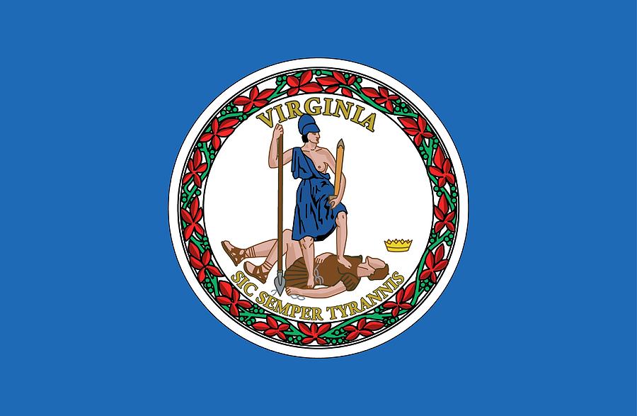 Virginia’s flag has a woman with a single titty out holding a spear standing on top of a dead king, with essentially “Death To Tyrants” written on it in latin. There is no better flag.