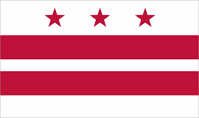 I grew up in the “DMV” area, of DC, Maryland and VA. All three places have amazing flags. I have the DC stars tattooed to me and the MD flag is fucking crazy looking. Neither hold a candle to a spear wielding anarchist.