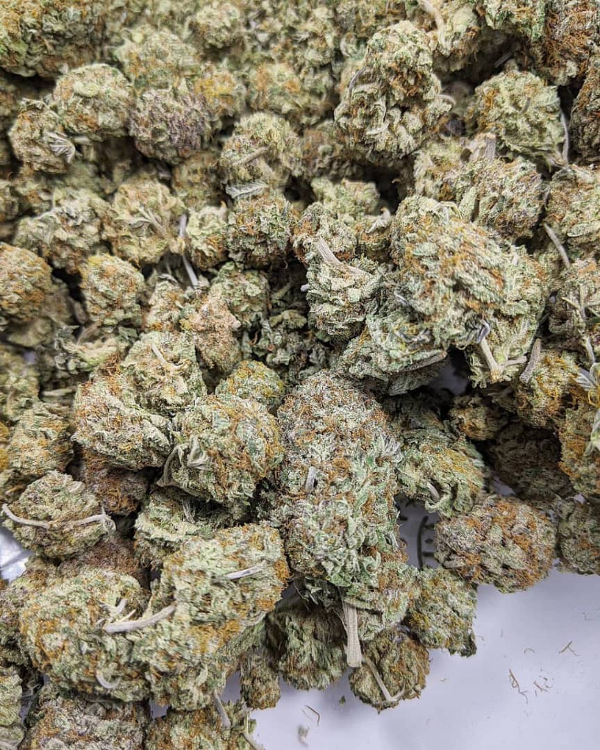 plugstoner420's tweet photo. 📲Snapchat: kushstore20📲Wickr: kushstore20
#WeedParis #weedMarseille #weedLyon #weewToulouse 
#weedNice #weedNantes #weedMontpellier #weedStrasbourg 
#weedBordeaux #weedLille #weedRennes #weedReims #weedSaintÉtienne 
#weedLeHavre 
#weedToulon https://t.co/gT3zOMHeII
