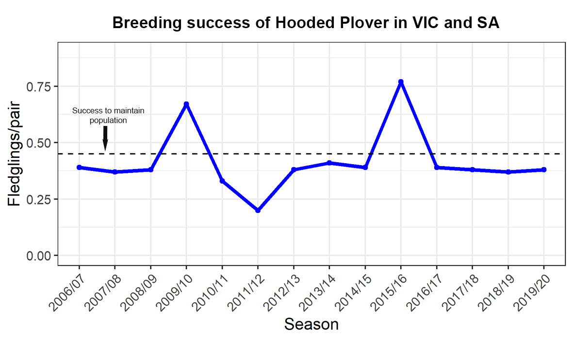 If this is the first time you see this kind of numbers of and have no idea whether these are good or bad, check out our long-term figure to put this  #HoodedPlover breeding season into context! #ThinkBeachBirds  #MindTheHoodies  #CitSci