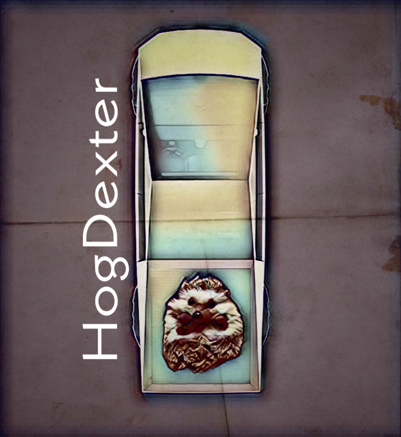 HogDexter's tweet photo. @teslavibes Yup! It’s a real thing #CybrtrkEffect https://t.co/lYJSi1aLmO