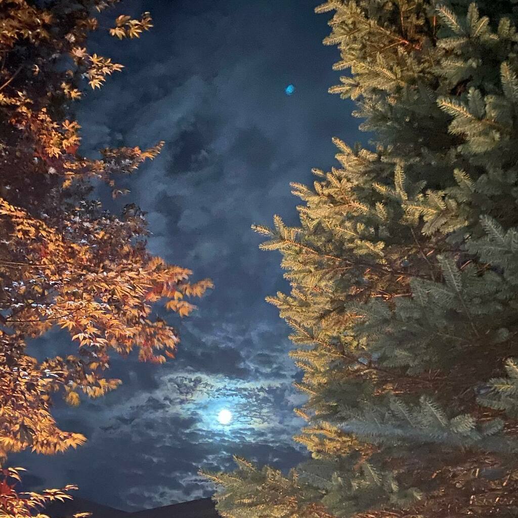 Great summer. #nofilter instagr.am/p/CDXorfGgdXEr…