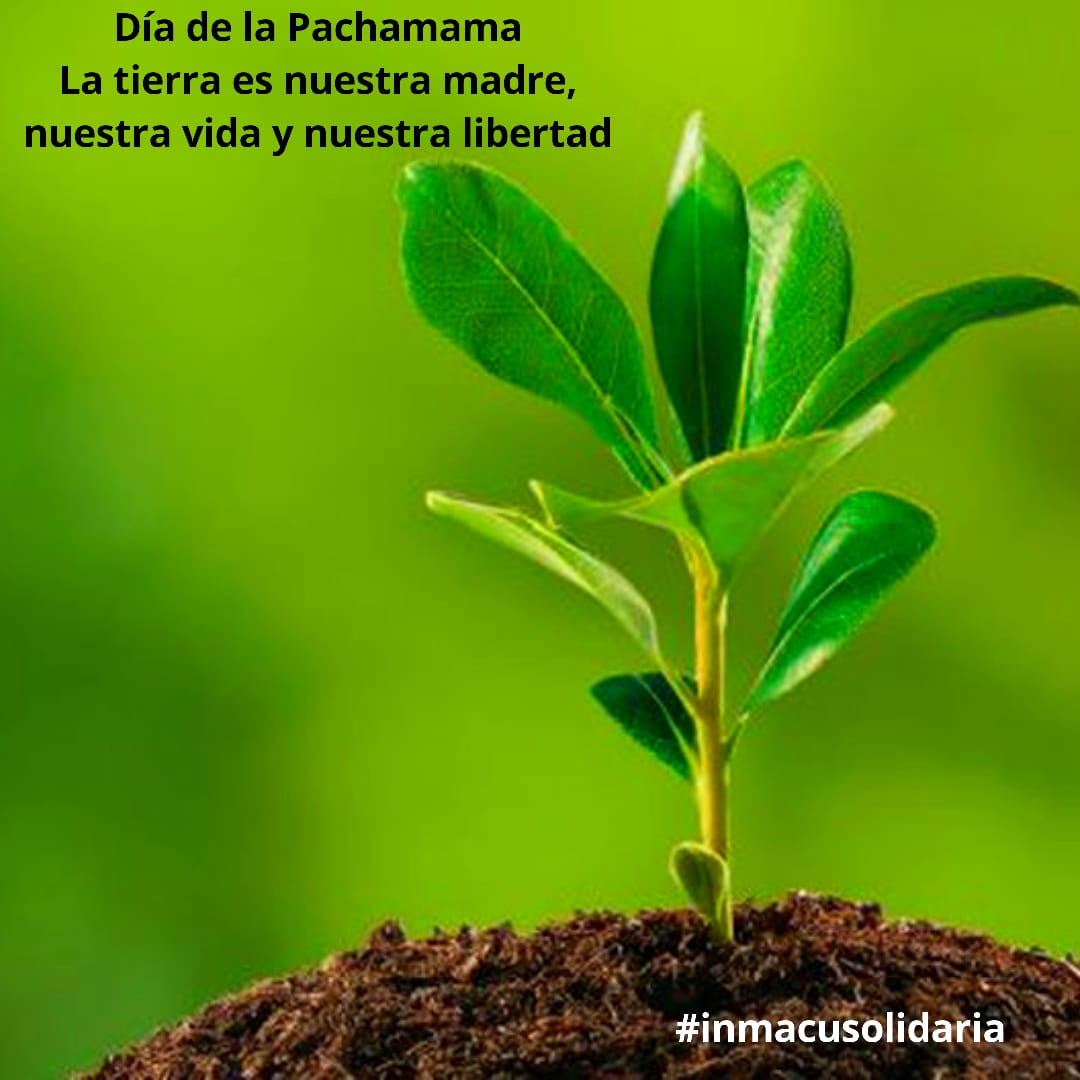 Dia de la Pachamama
#inmacusolidaria #reciclado #Pachamama