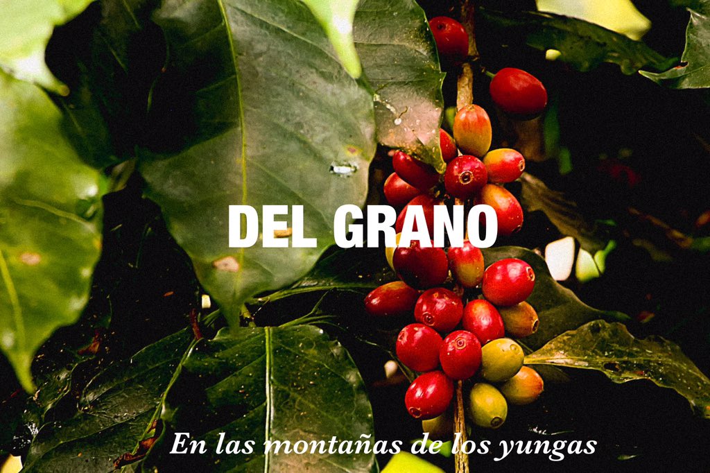Los mejores cafés