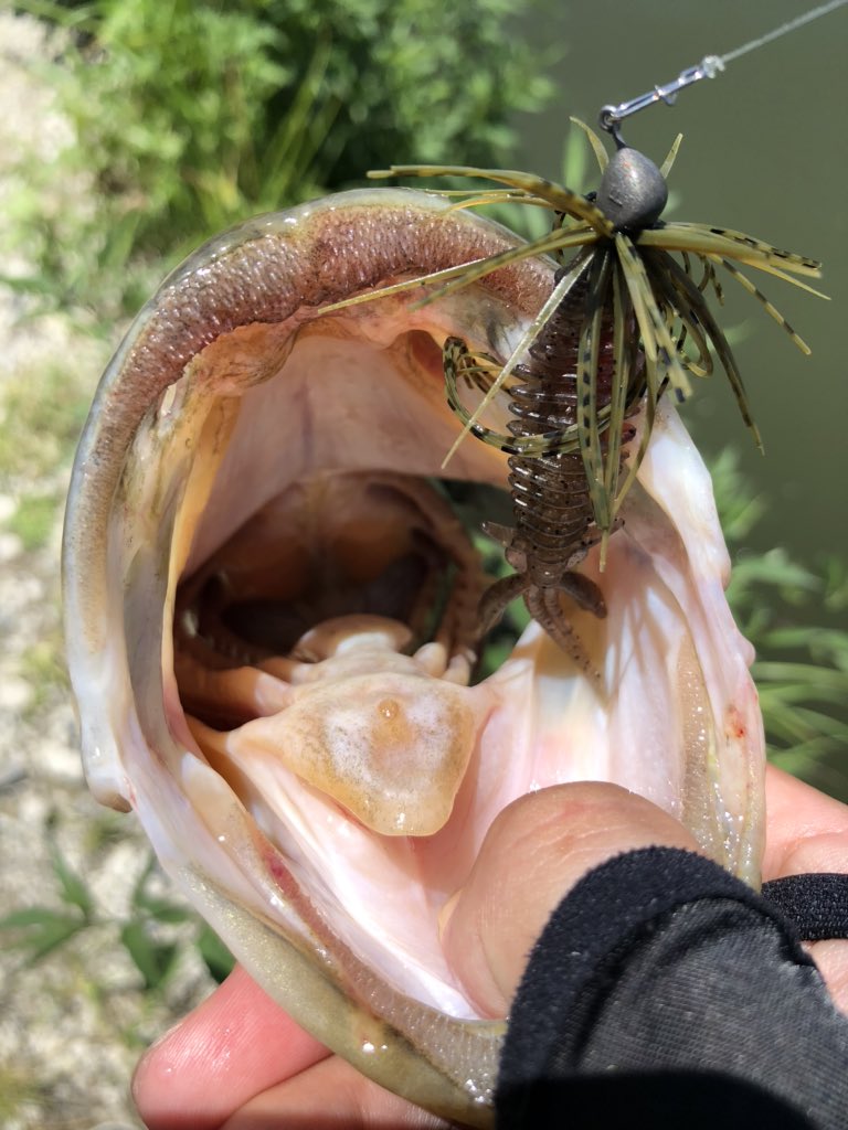 エグジグ Twitter Search