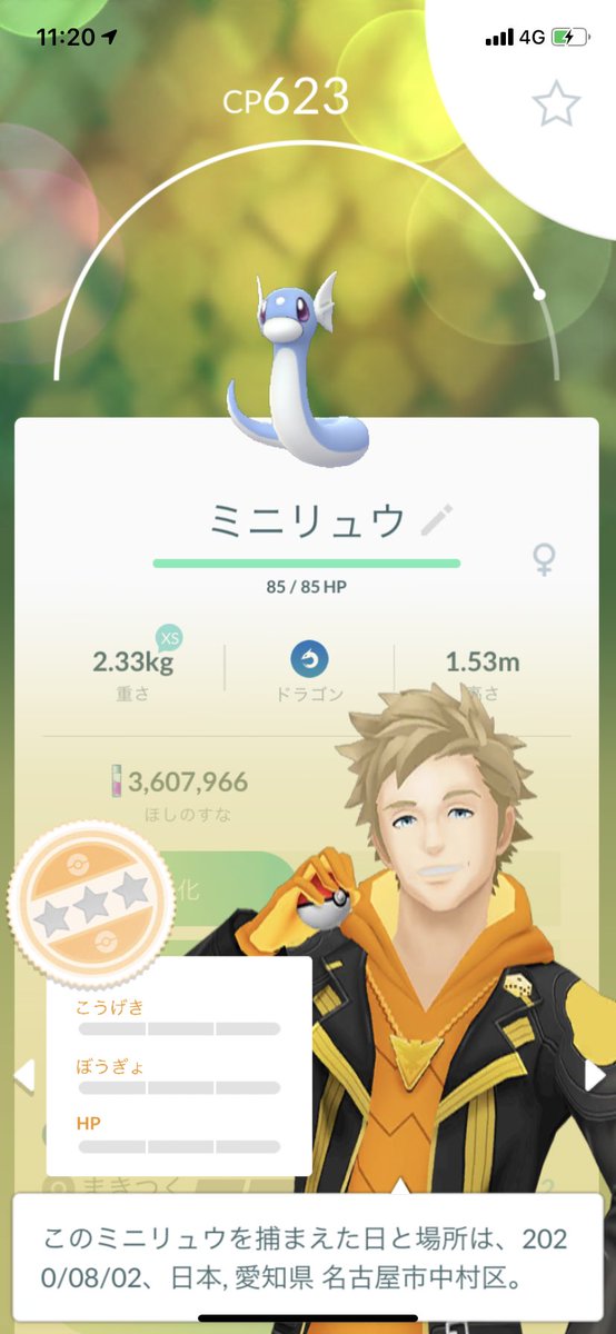 ポラリス Sur Twitter ポケモンgo 個体値0のミニリュウ 笑 ポケモンgo 個体値0 ミニリュウ