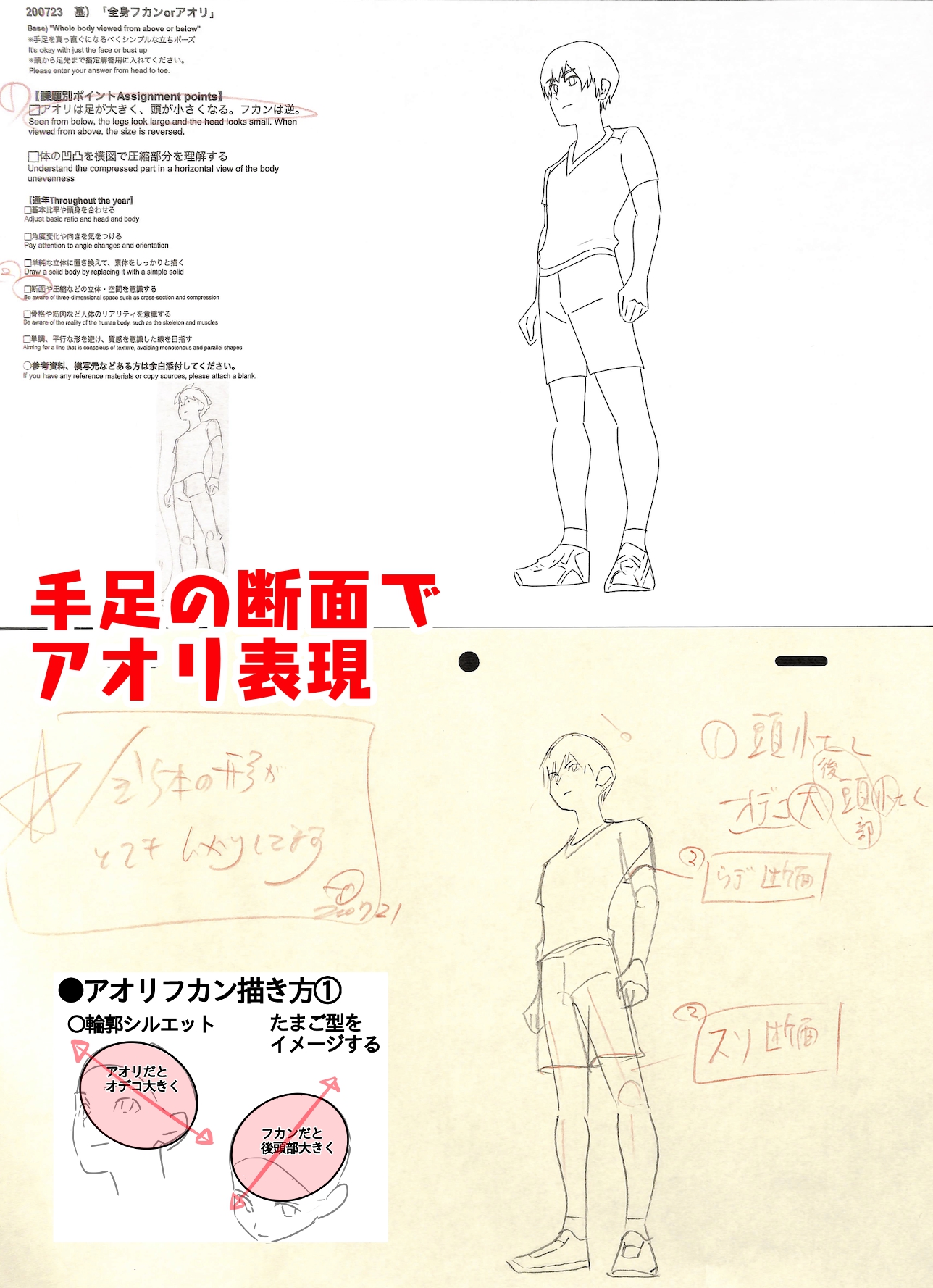 O Xrhsths アニメ私塾 Sto Twitter 0723 基礎コース添削例 全身フカンorアオリ 課題別ポイント アオリは足が大きく 頭が小さくなる フカンは逆 体の凹凸を横図で圧縮部分を理解する 各所断面変化を意識する O Xrhsths アニメ私塾 Sto Twitter 0723 基礎コース添削例 全身フカンorアオリ 課題別ポイント アオリは足が大きく 頭が小さくなる フカンは逆 体の凹凸を横図で圧縮部分を理解する 各所断面変化を意識する