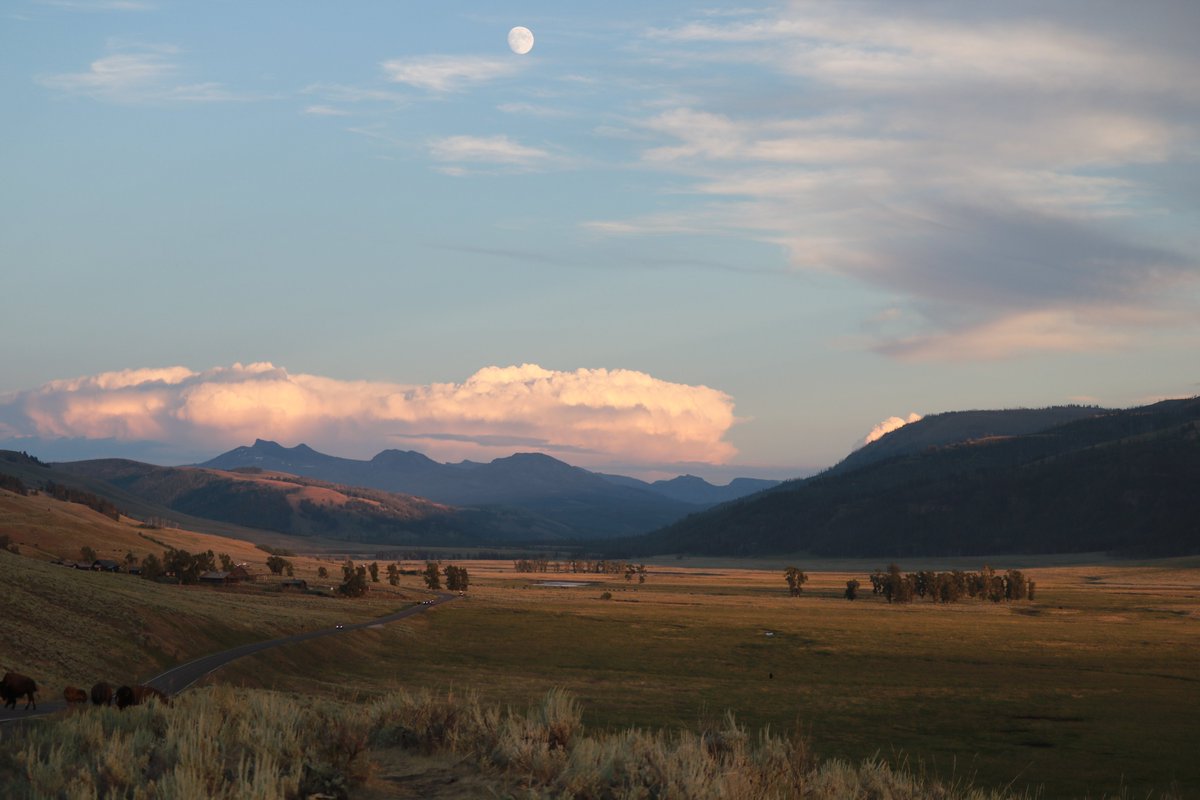 Here's one more of the Lamar Valley as the sun set. They refer to it as America's Serengeti. Magnificent.