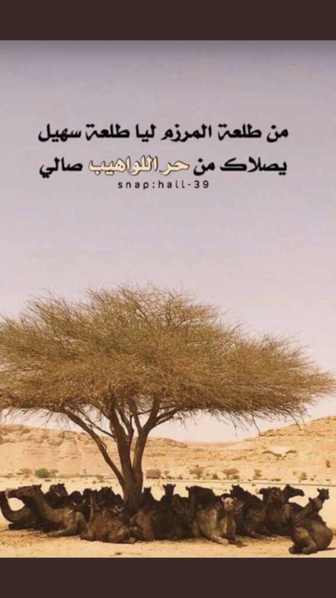 ابو زياد الهذيل (@00232abo) on Twitter photo 