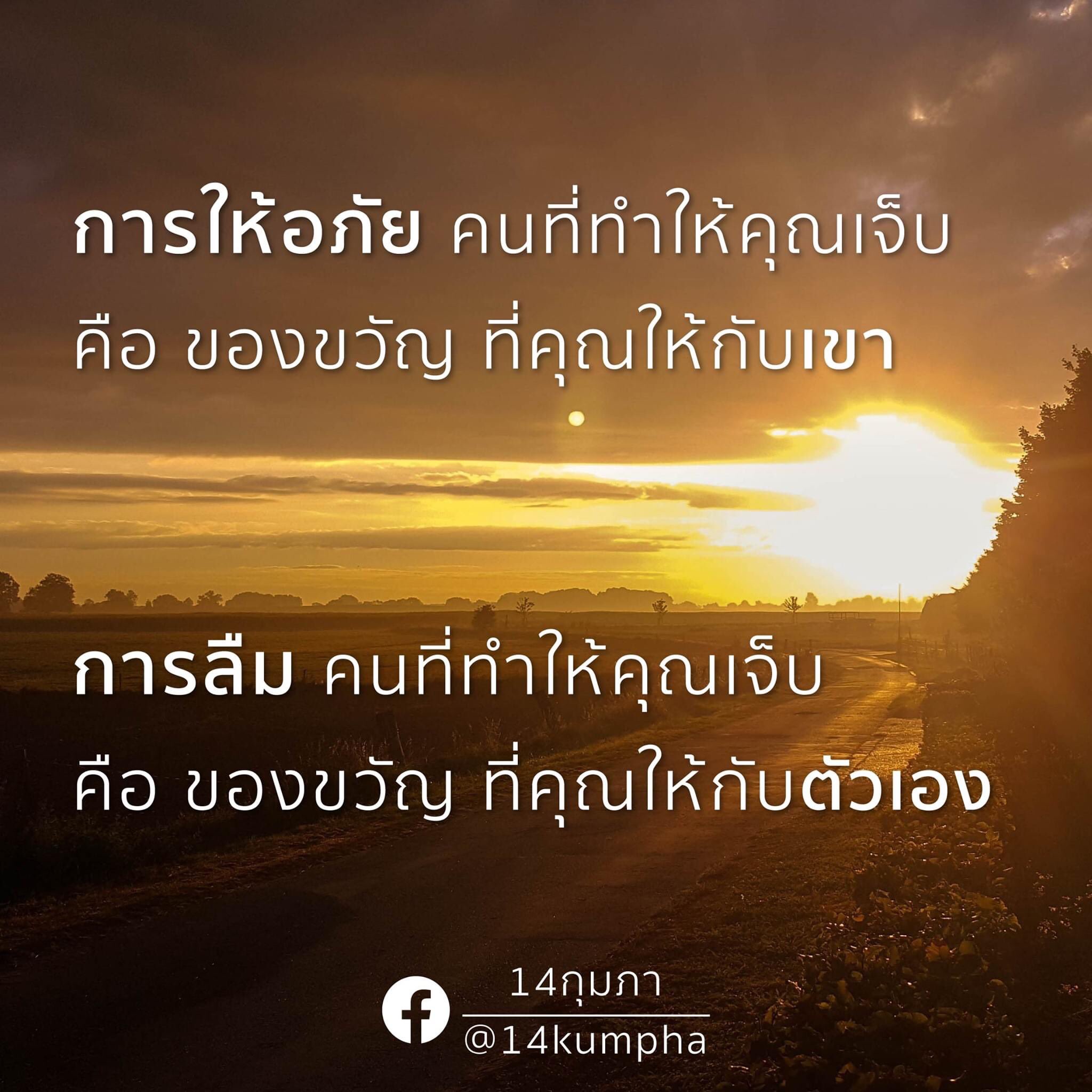ทางของฉัน#ฝันของเธอ on Twitter: ทางของฉัน#ฝันของเธอ On Twitter: