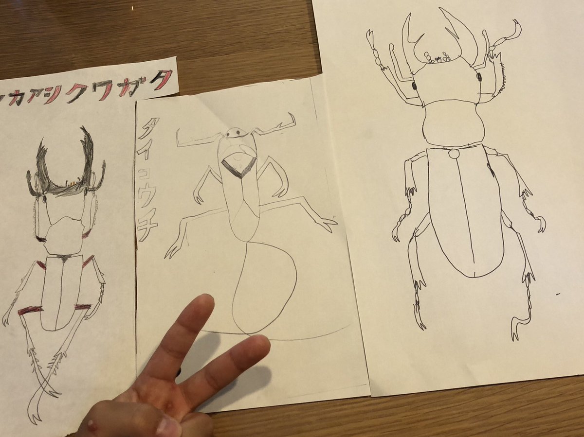 カマキリ先生に感化される夏休み初日
タイコウチ　アカアシクワガタ　コクワガタ
#昆虫すごいぜ　#カマキリ先生 #香川照之　#nhk #Eテレ