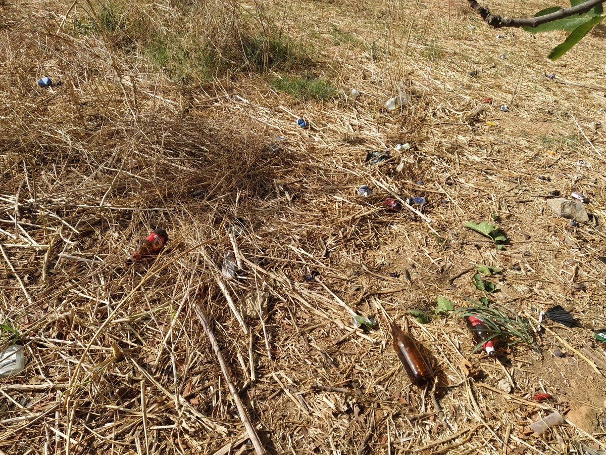 abelorc's tweet photo. @mairenAljarafe quiero denunciar los botellones y la suciedad y riesgo de incendio que están ocasionando. https://t.co/cz7yL5suZi