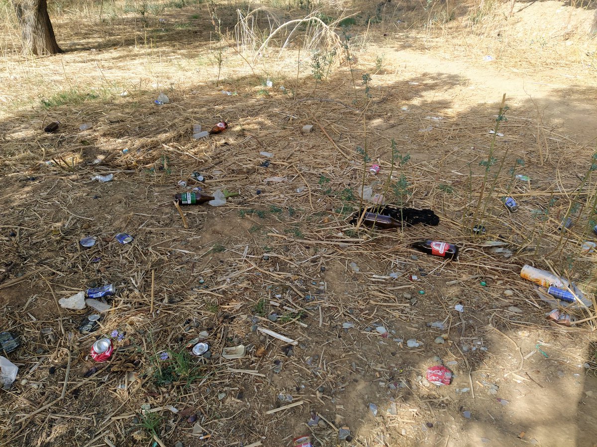 abelorc's tweet photo. @mairenAljarafe quiero denunciar los botellones y la suciedad y riesgo de incendio que están ocasionando. https://t.co/cz7yL5suZi