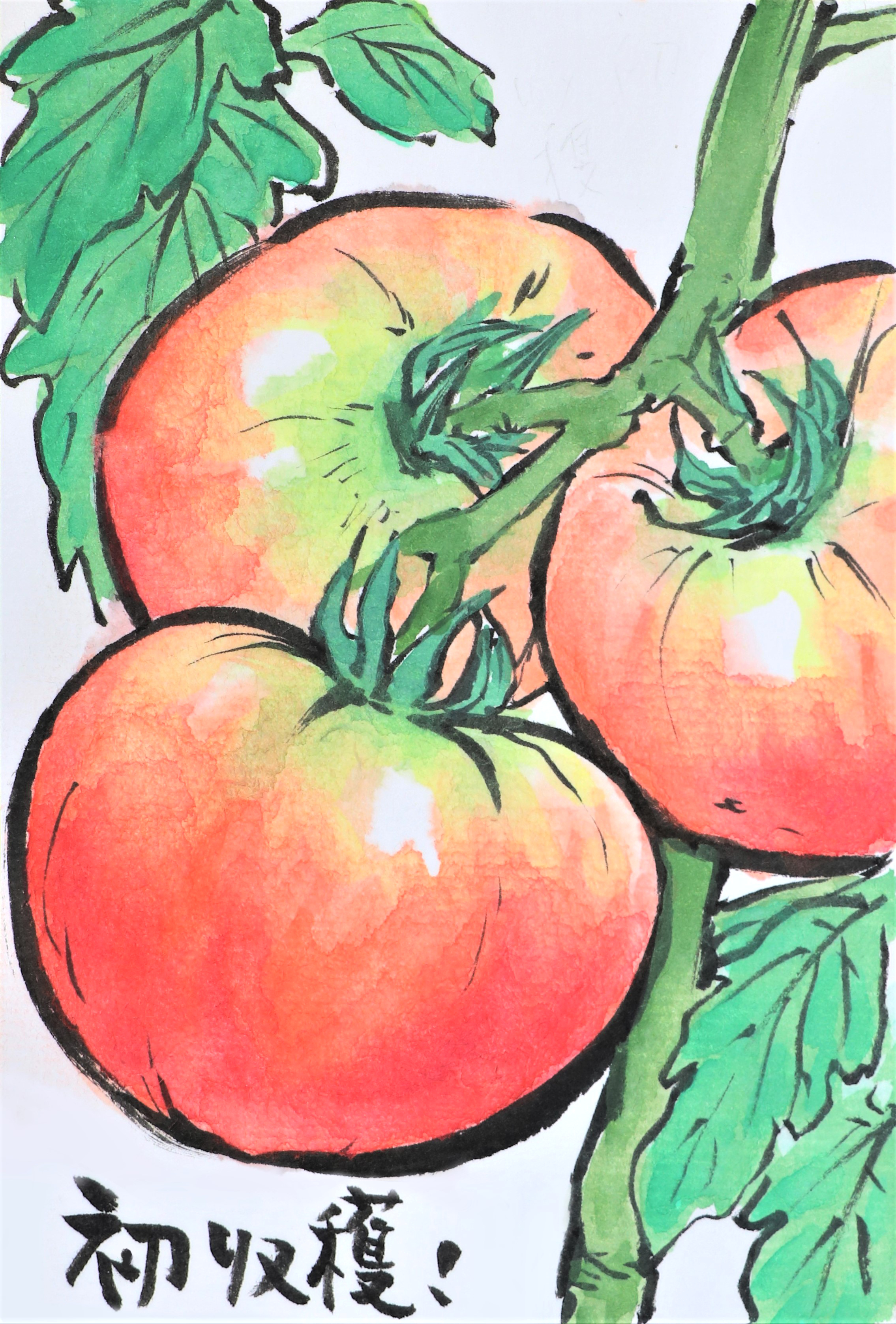 Twitter 上的 快適art絵手紙 おうちやさいシリーズ 今年の夏野菜の絵手紙は収穫前です Youtubeで描き方解説動画をupしました トマト T Co D66s9cycwf ナス T Co Whsadzxgha キュウリ T Co Qzswmccmne 快適絵手紙 イラスト 夏