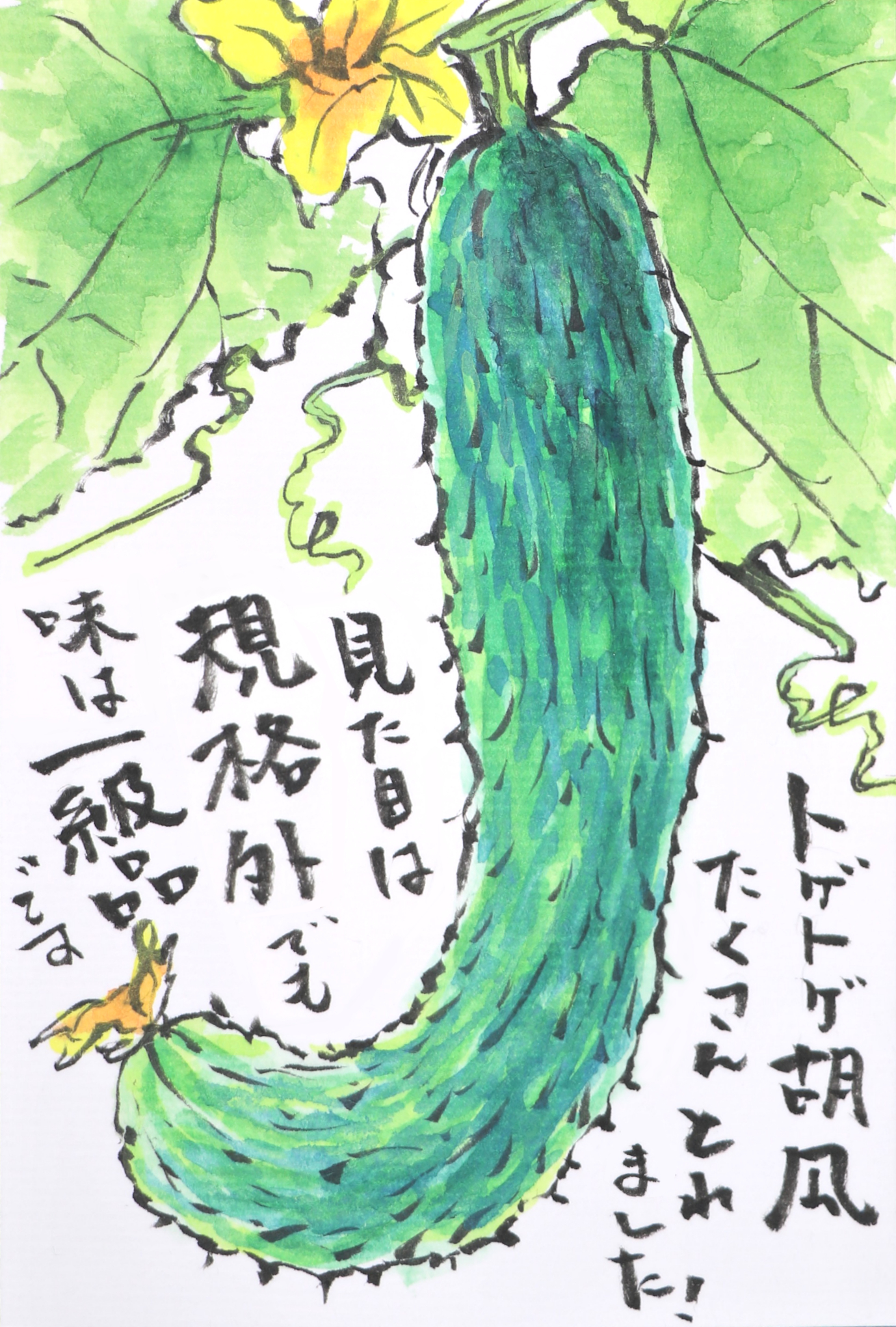 快適art絵手紙 おうちやさいシリーズ 今年の夏野菜の絵手紙は収穫前です Youtubeで描き方解説動画をupしました トマト T Co D66s9cycwf ナス T Co Whsadzxgha キュウリ T Co Qzswmccmne 快適絵手紙 イラスト 夏野菜