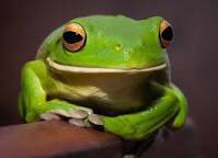 froggiepuddle's tweet photo. @stompynoises her https://t.co/hEIztwEFM6