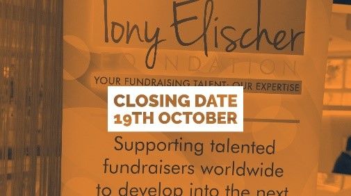 The Elischer Foundation tweet media