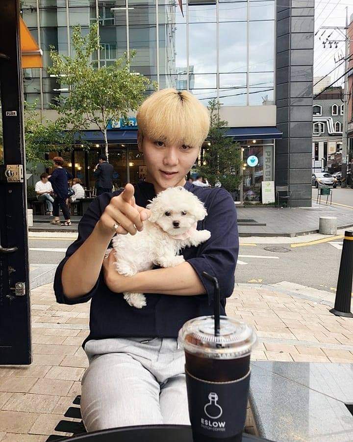 seungkwan IG post a thread:note: Im not sure if I save all of his IG post this just what I have