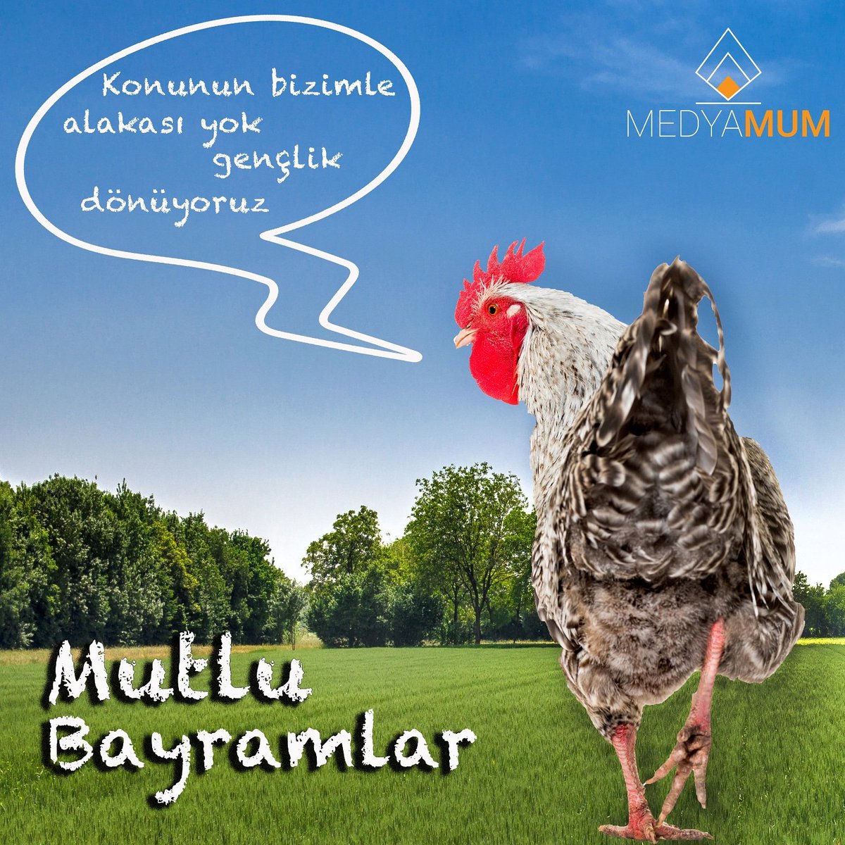 🐓🐓🐓Panik yok biz sakiniz...
🍬🍬🍬Mutlu bayramlar...
#bayram #iyibayramlar #reklam #ajans #reklamajansı #istanbulreklam #logo #kartvizit #sosyalmedya #açıkhavareklamları #tanitımfilmi #matbaa #kurumsalkimlik  #istanbul #life #bodrum #datça #izmir #çeşme #medyamum