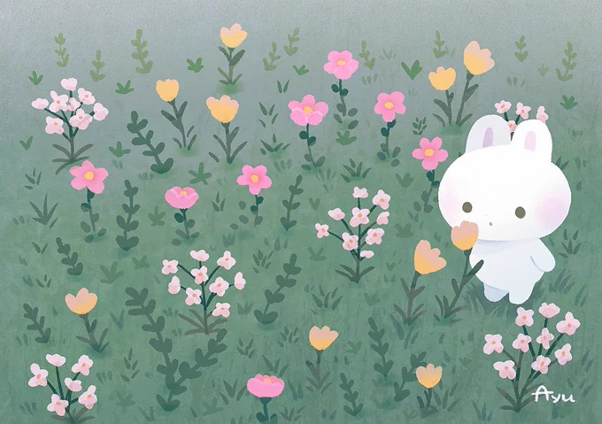 ✿ 