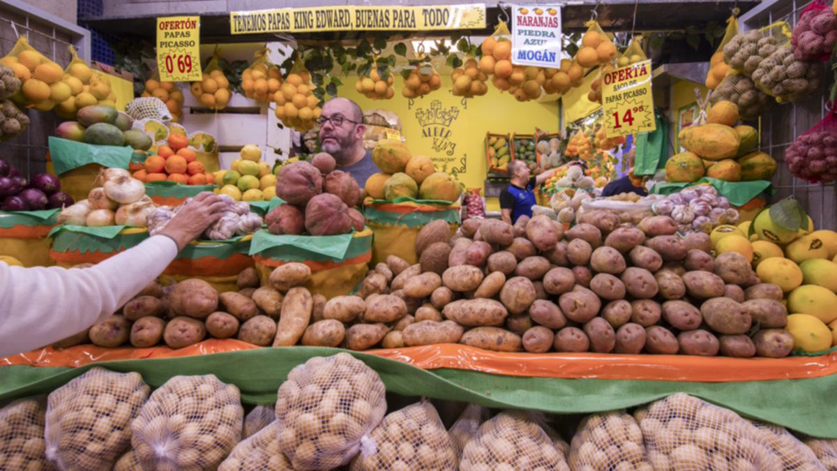 I went to a local market in Las Palmas and a really generous señora spent ages telling me in Spanish about all the different varieties & their colourful names.Then she said, her favourite potato variety is a rare one called ‘Kin Ay Waa’.My brain nearly exploded...(: ibid)