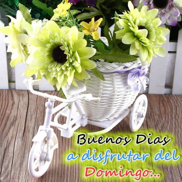 Ana Martinez on Twitter: Ana Martinez on Twitter: